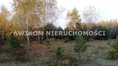 Adamów-Wieś, 375 000 zł, 41.7 ar, budowlana