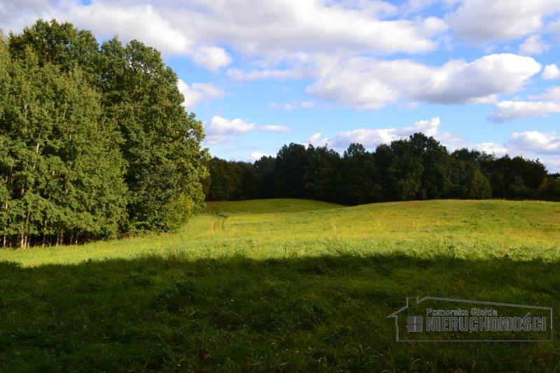 Działka w okolicy Jeziora Pile miniaturka 13