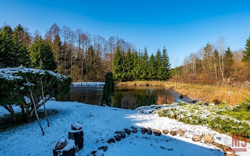 Ciasne, 349 000 zł, 51 ar, prostokątna miniaturka 3