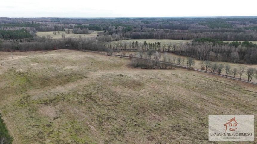 Prosino, 1 985 000 zł, 55.37 ha, rolna miniaturka 10