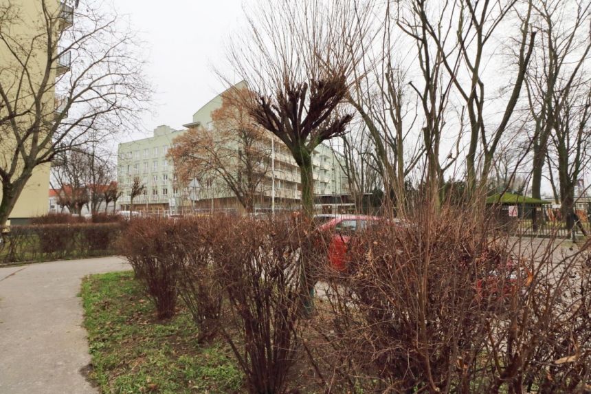 Warszawa Saska Kępa, 2 800 zł, 38 m2, pietro 1 miniaturka 27