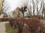 Warszawa Saska Kępa, 2 800 zł, 38 m2, pietro 1 miniaturka 27