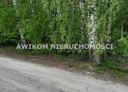 Kornelówka, 1 800 000 zł, 7.52 ha, siedliskowa miniaturka 6