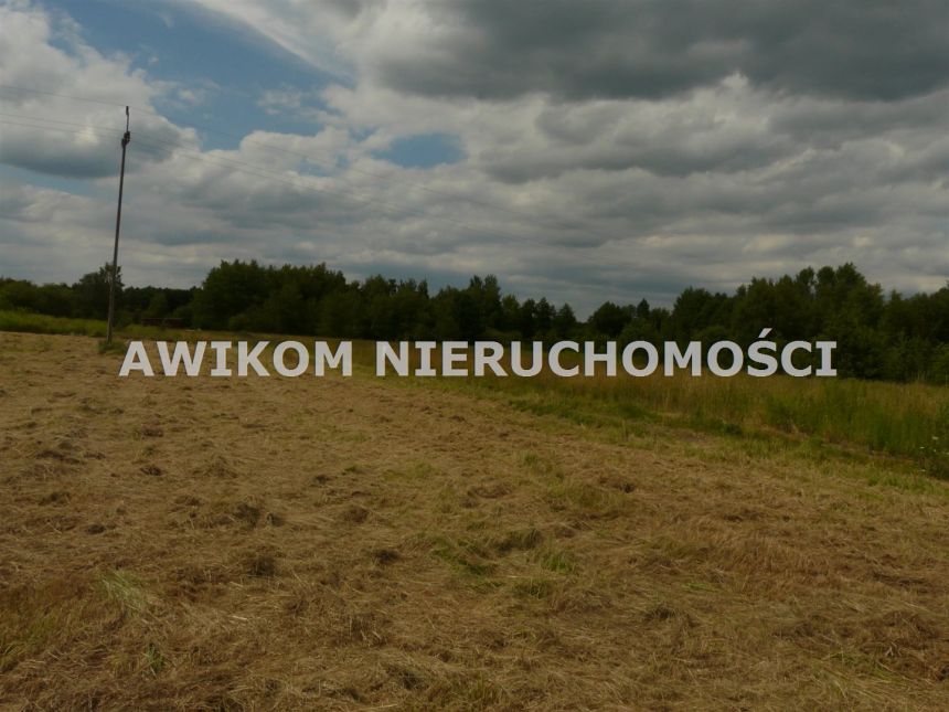 Grabina Radziwiłłowska, 110 000 zł, 10 ar, woda w drodze miniaturka 11
