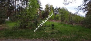 Piękna działka przy lesie, Czarny las 2769m2