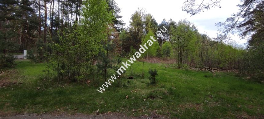 Piękna działka przy lesie, Czarny las 2769m2 - zdjęcie 1