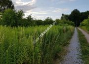 Działka z planem zagospodarowania mkwadrat.eu miniaturka 3