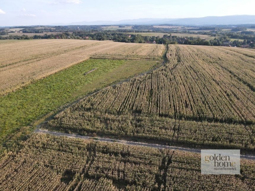 Krzewie Wielkie, 91 275 zł, 12.17 ar, przyłącze prądu miniaturka 12