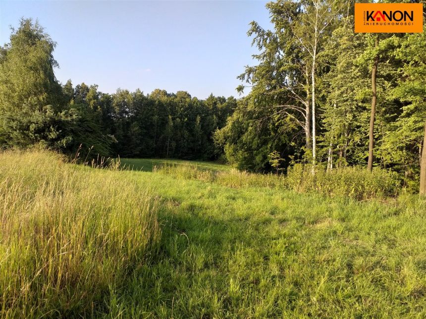 Pisarzowice, 425 000 zł, 94.67 ar, woda w drodze miniaturka 2