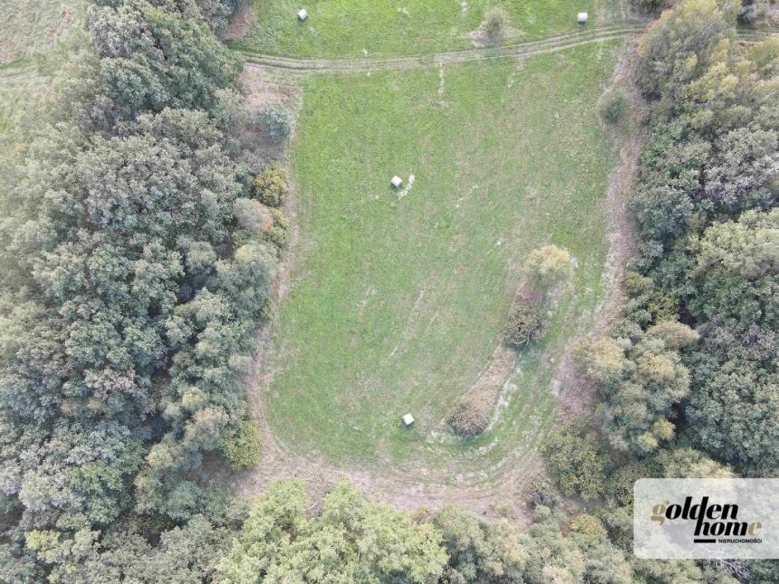 Grudza, 420 000 zł, 60 ar, w kształcie trapezu miniaturka 10