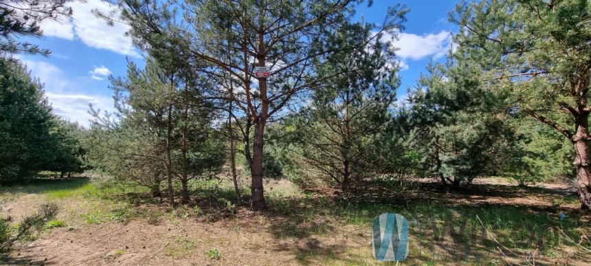 Kania Nowa, 121 500 zł, 9 ar, budowlana miniaturka 6