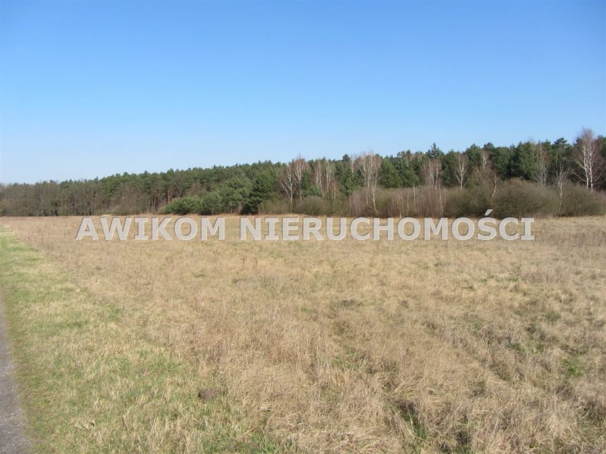 Wólka Łasiecka, 2 100 000 zł, 26.16 ha, rolna miniaturka 4