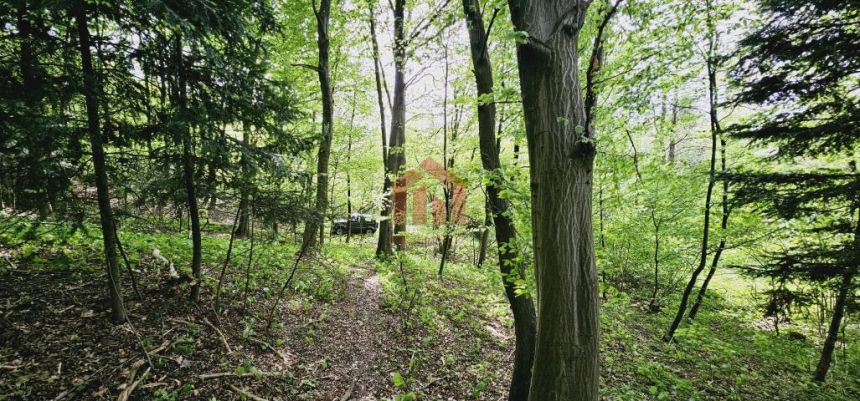 1,10 ha lasu za 36 000 w Ropczycach - zdjęcie 1