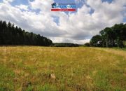 Zabrodzie, 790 000 zł, 2.23 ha, przyłącze elektryczne miniaturka 12