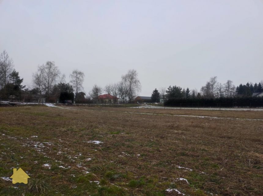 Dziuchów 140 000 zł 10 ar miniaturka 4