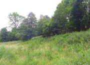 Duża działka z domem do remontu miniaturka 8