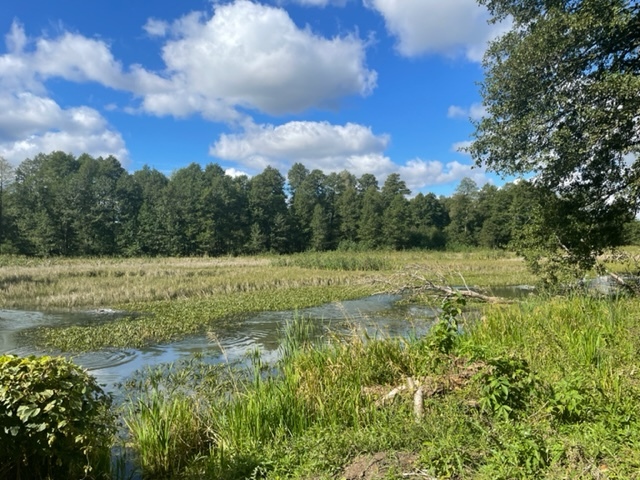 Budowlana 2,6 ha nad Bugiem 30 km od Warszawy miniaturka 8