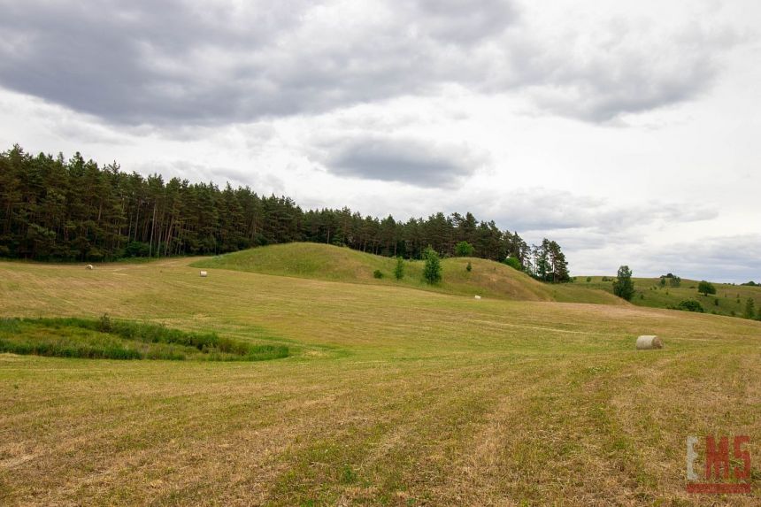 Wodziłki, 1 100 000 zł, 4.31 ha, rolna miniaturka 4