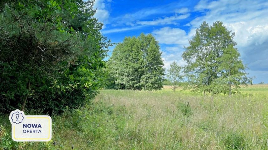 Działka rolna 2,4 HA miniaturka 1