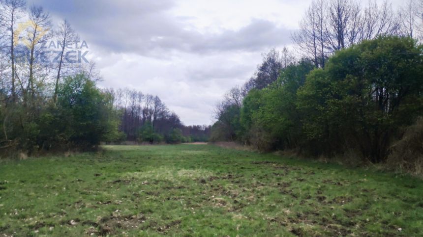 Januszew, 120 000 zł, 2.27 ha, rolna - zdjęcie 1