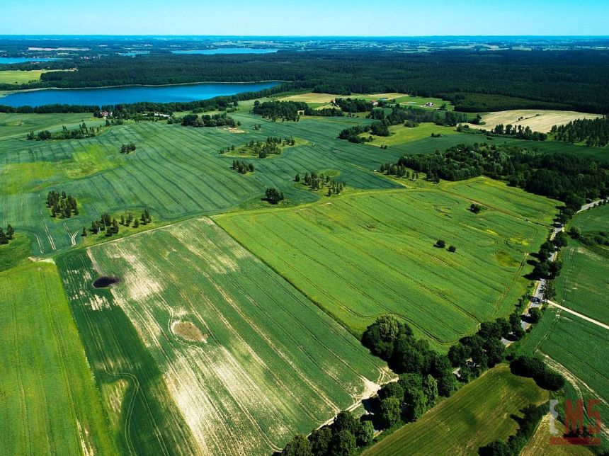 Giżycko 345 000 zł 38.8 ar miniaturka 5