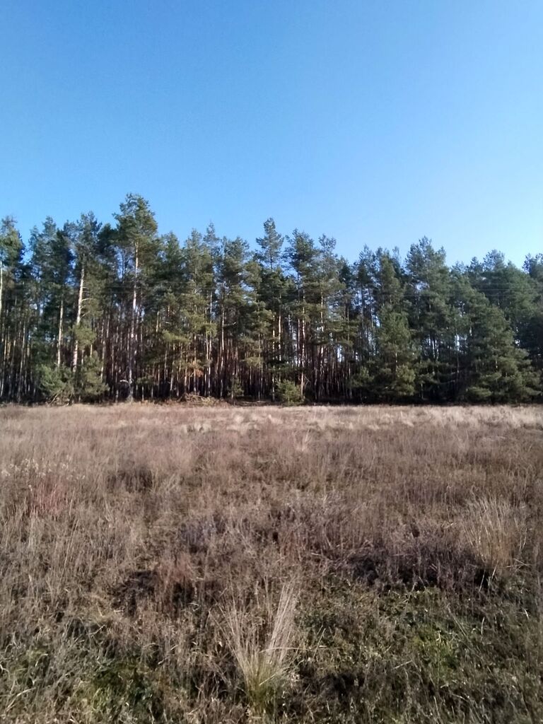 Zarośle Cienkie, 180 000 zł, 20.93 ar, budowlana miniaturka 6
