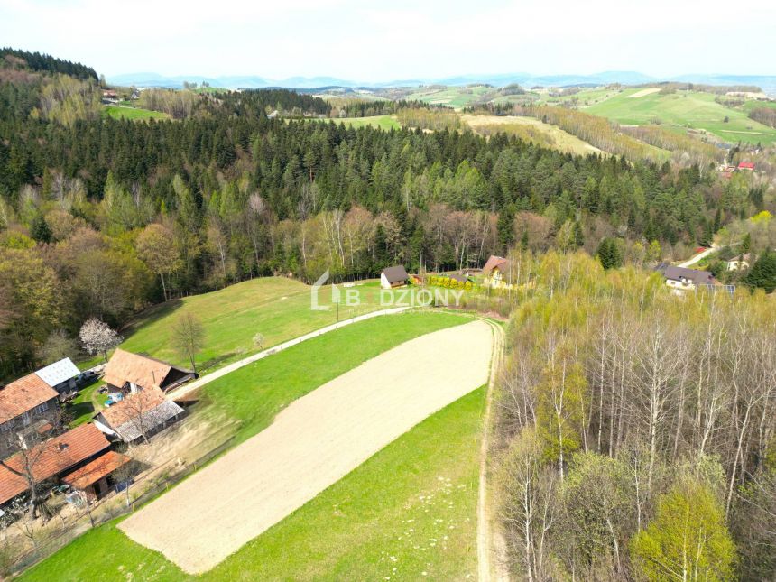 Działka z potencjałem w spokojnej okolicy  - Barcice Górne, ul. Kliny miniaturka 14