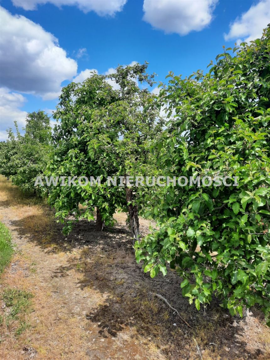 Kornelówka, 1 400 000 zł, 5.67 ha, rolna miniaturka 3