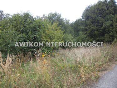 Bolesławek, 506 000 zł, 45.97 ar, woda w drodze
