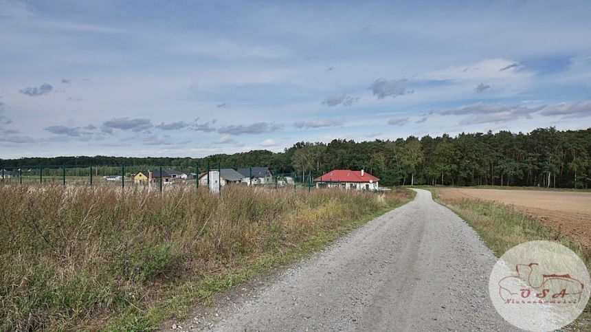 Działka (faktura VAT) 1053 m2 Jaszkowo k. Śremu miniaturka 2