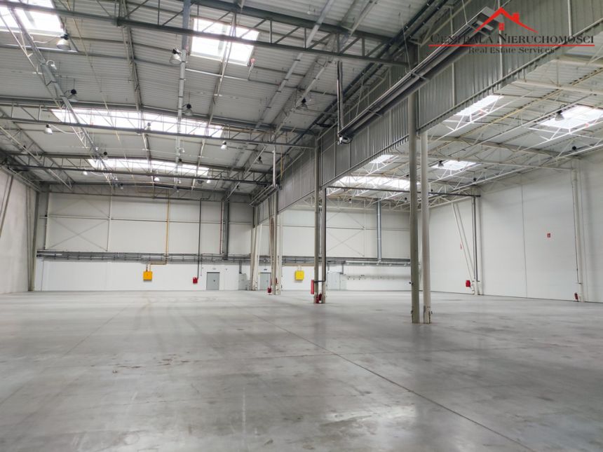 Hala /Magazyn 300 m2/ 1450 m2/ 4550 m2 + Biura miniaturka 7