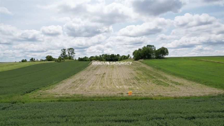 Prandocin-Iły, 287 000 zł, 3.05 ha, rolna miniaturka 7