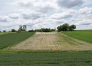 Prandocin-Iły, 287 000 zł, 3.05 ha, rolna miniaturka 7