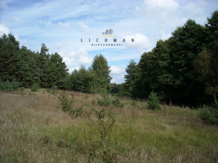Trojaczek, 349 000 zł, 2.3 ha, rolna miniaturka 4