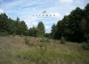 Trojaczek, 349 000 zł, 2.3 ha, rolna miniaturka 4
