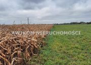 Murowaniec, 647 500 zł, 2.59 ha, rolna miniaturka 3