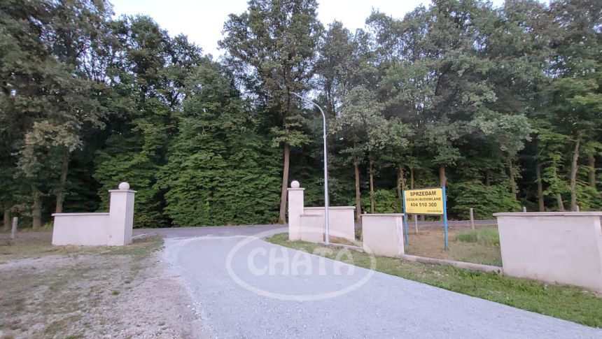 Jastrzębce, 3 608 570 zł, 5.16 ha, przyłącze prądu miniaturka 11