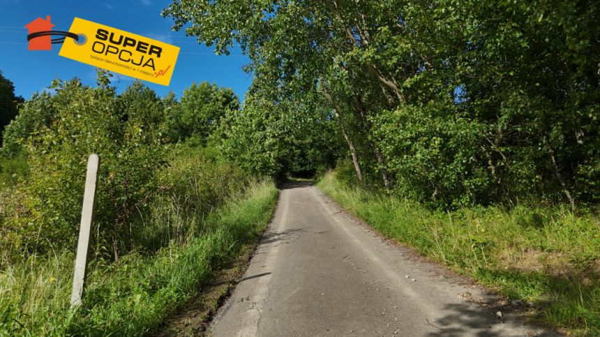 Odrzykoń 215 000 zł 37.56 ar miniaturka 4