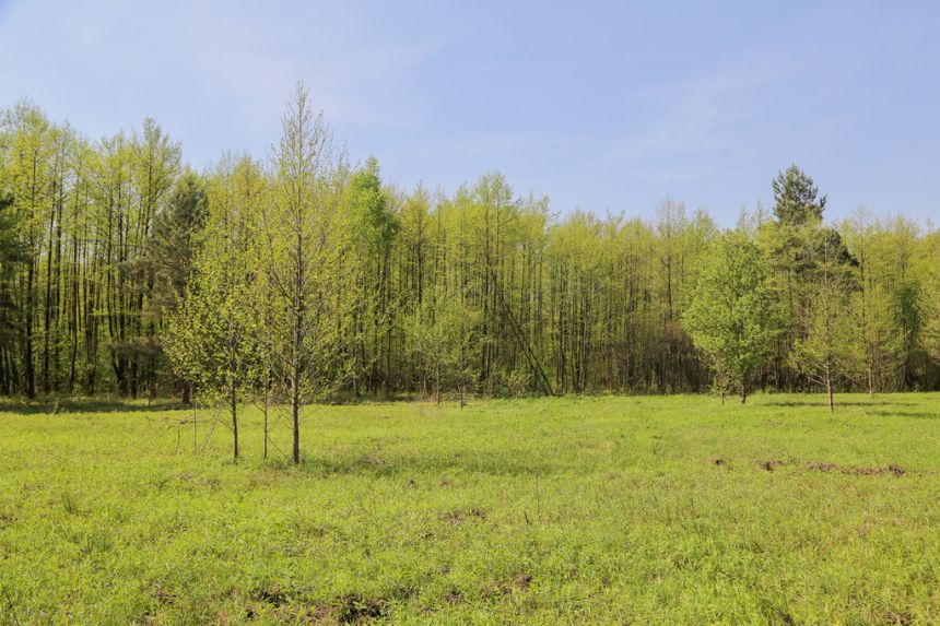 4 działki rolno-budowlane- Bielcza- Małopolska miniaturka 4