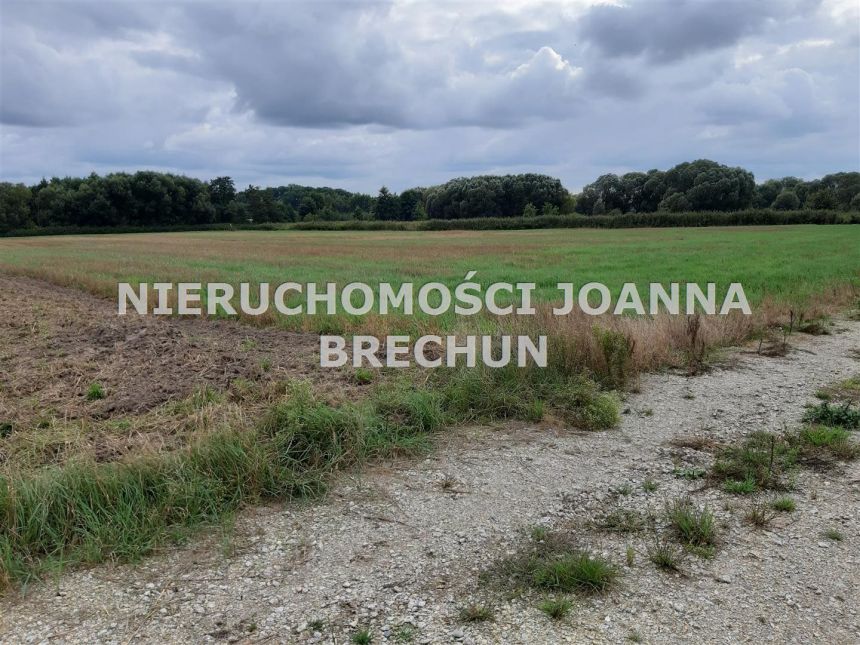 Kątna, 141 600 zł, 1.77 ha, rolna - zdjęcie 1