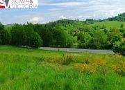 Działka budowlana 3 km od Wałbrzycha miniaturka 10