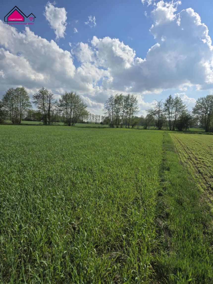 Skrzynka, 83 000 zł, 9.98 ar, rekreacyjna miniaturka 6