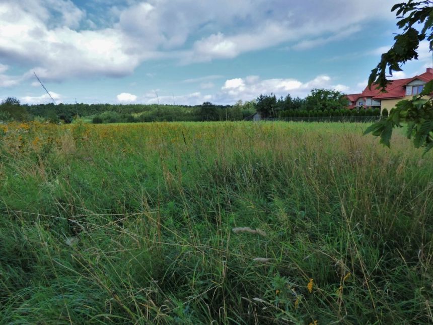 DZIAŁKI  4840 m2, BĘDZELIN GM. KOLUSZKI miniaturka 7