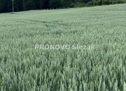 Działka budowlana w Borkowicach, blisko Obornik Ś miniaturka 4