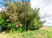 Na sprzedaż dom na dużej działce w Ryczywole miniaturka 29