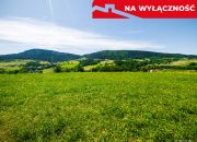 Działka na sprzedaż Posadowa Mogilska / Korzenna miniaturka 9