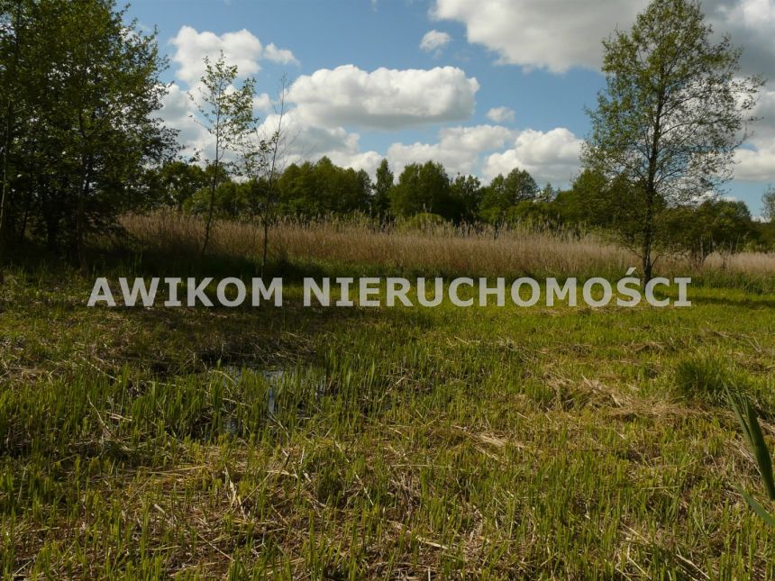 Sewerynów, 110 000 zł, 15 ar, przyłącze elektryczne miniaturka 10