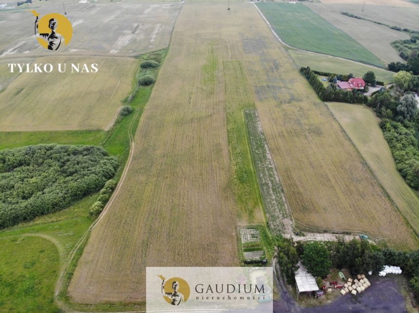 Działki przemysłowe PSSE Sztum miniaturka 3