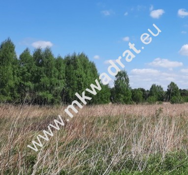 Urokliwa działka w Żelechowie, dobry punkt - zdjęcie 1