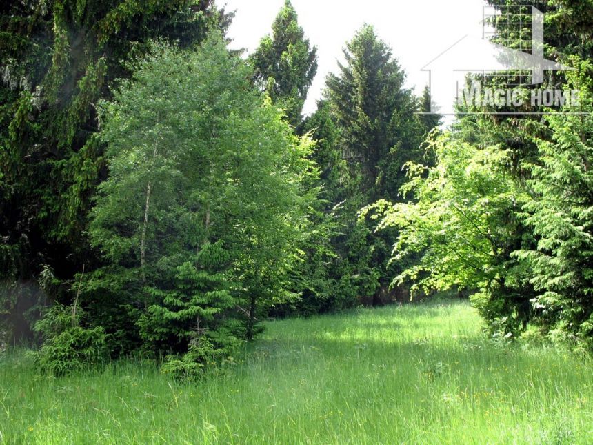 Działka rolna ,leśna ,rekreacja ,domki miniaturka 11